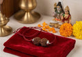 Gouri Shankara Rudraaksh